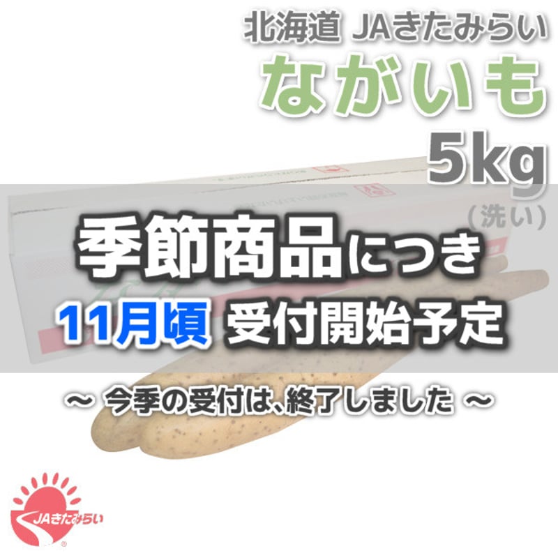 長芋(洗い) A2L 5kg【北海道 JAきたみらい産】 | ショップきたみさん！