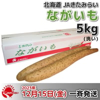 長芋(洗い)  A2L 5kg【北海道 JAきたみらい産】