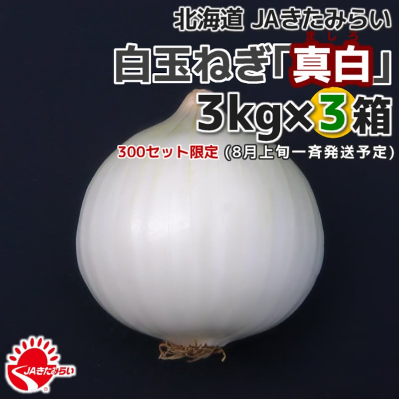 北見産たまねぎ「真白」 3kg×3箱【北海道 JAきたみらい】 | ショップ