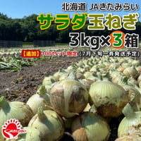 JAきたみらい「サラダ玉ねぎ」 3kg×3箱【北海道 北見産】