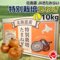 特別栽培玉ねぎ 10kg【北海道 JAきたみらい】
