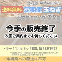 『定期便』玉ねぎ L3kg【送料無料】9月注文（3回配送）