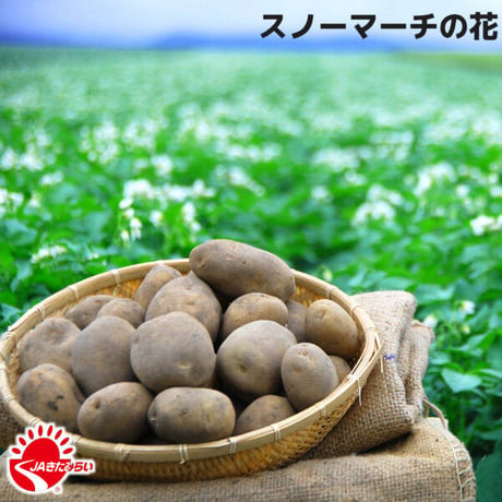 じゃがいも｢スノーマーチ｣ 10kg【北海道 JAきたみらい産】