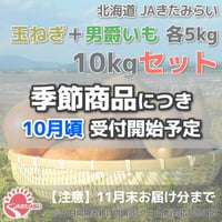 北見玉ねぎ+男爵いも 10kgセット【北海道 JAきたみらい産】
