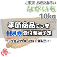 長芋(洗い)  A3L 10kg【北海道 JAきたみらい産】