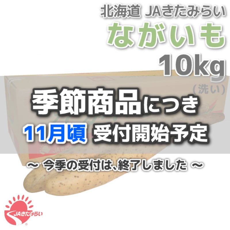 長芋(洗い) A3L 10kg【北海道 JAきたみらい産】 | ショップきたみさん！
