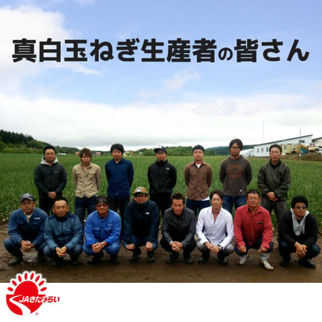 北見産たまねぎ「真白」 3kg×3箱【北海道 JAきたみらい】