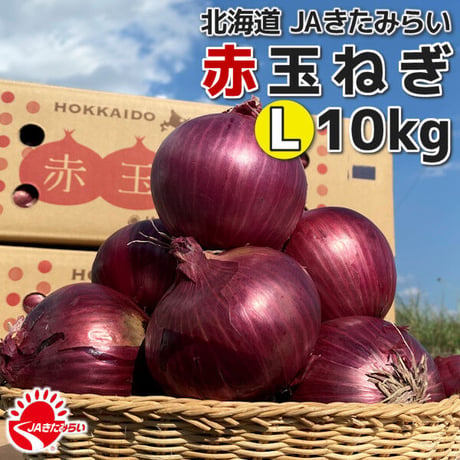 北海道産　赤玉ねぎ18kg CATEGORY 玉ねぎ | ショップきたみさん！