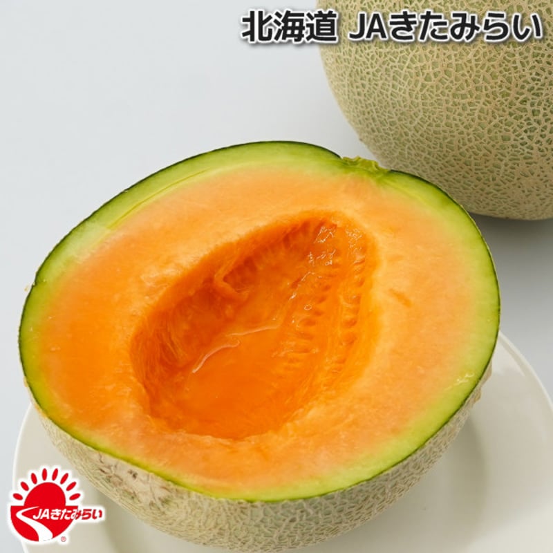 JAきたみらい「北見メロン(赤肉) 」5玉×1箱【北海道 JAきたみらい