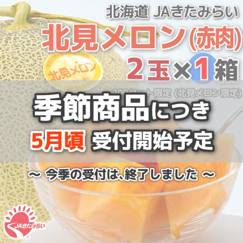 JAきたみらい「北見メロン(赤肉) 」2玉×1箱【北海道 JAきたみらい