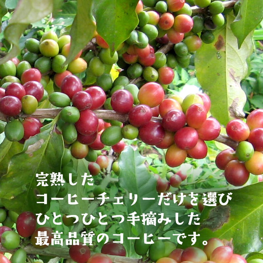 62cd1b2340ebf05c3aa63654