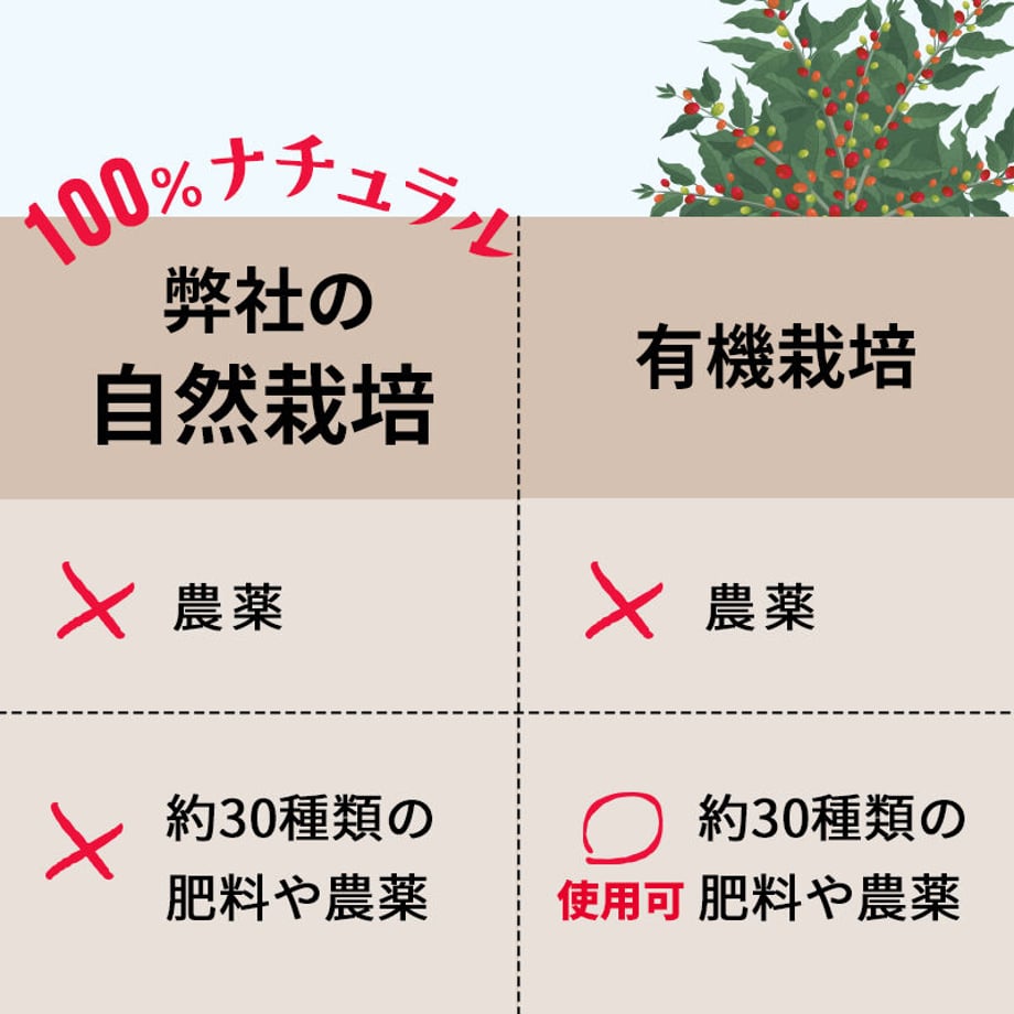 6117d9dc84ca631db96df80b