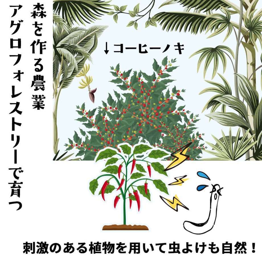 62cd1b2340ebf05c3aa63654
