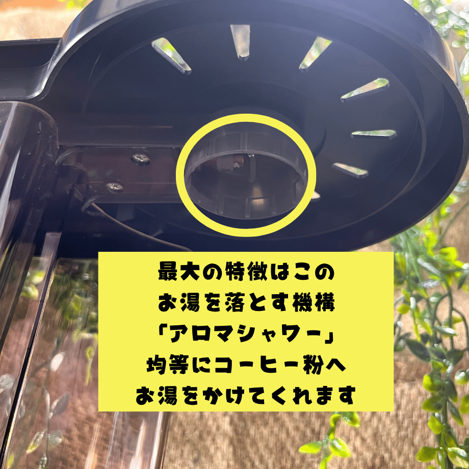 6a33922bb354bf1d67f55039