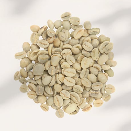 ウガンダ 生豆300g：アラビカ種の原種「ティピカAA」