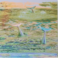 Real／ Counter Vision 1 (Flexi) | いぬん堂