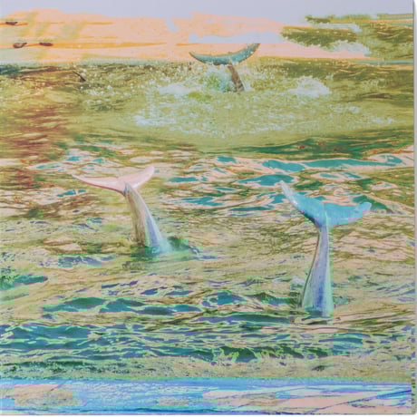 ♦︎ OGAWA / 湿地帯と金魚 CATEGORY レコード | いぬん堂