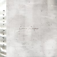 Canis Lupus／Canis Lupus（CD）