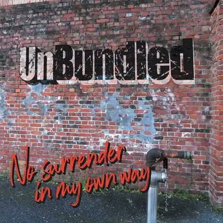 CATEGORY CD | いぬん堂