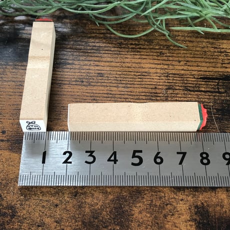 【もえるゴミ10mm角】絵文字はんこ10x10mm_R314