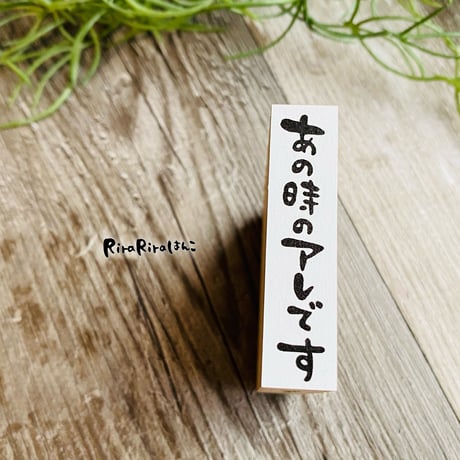 【あの時のアレです(縦書き)】文字はんこ12x50mm_R482_o