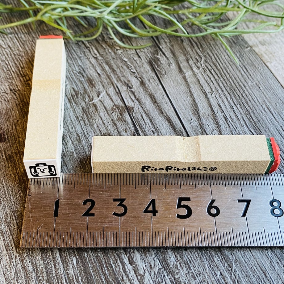5fe04848da019c1c74579f05