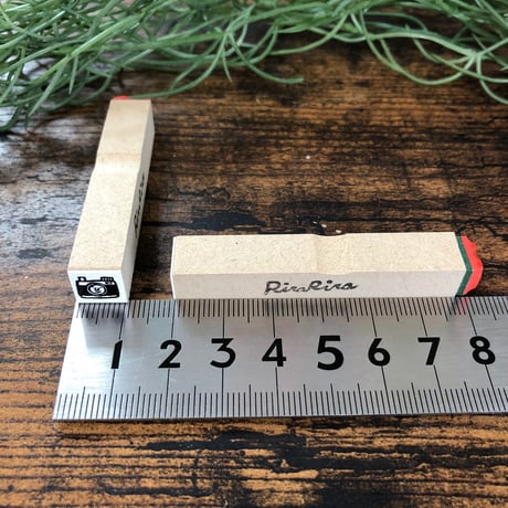 【カメラ10mm角】絵文字はんこ10x10mm_R183
