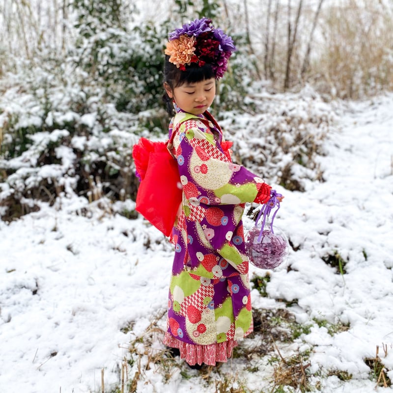 レンタル】ヘッドドレス（パープル） | HAM-NICO