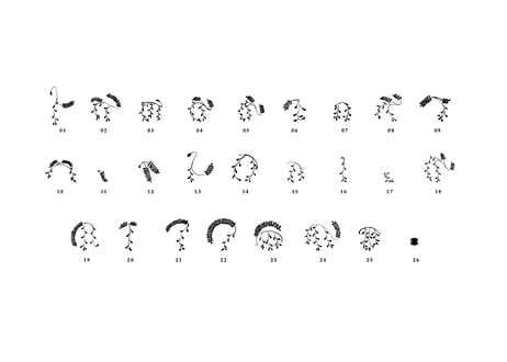 装飾活字：PRINTERS’FLOWERS “fuji”