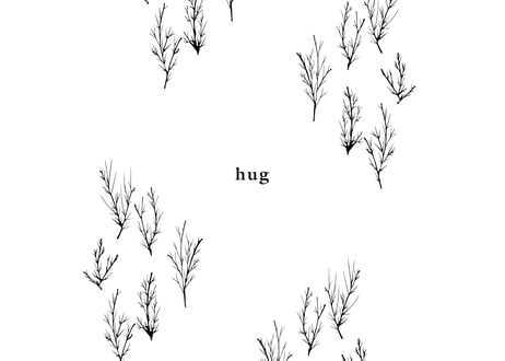 装飾活字：hug
