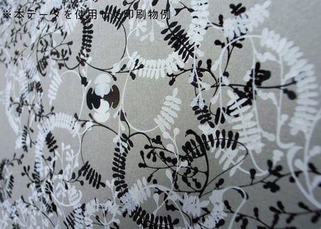 装飾活字：PRINTERS’FLOWERS “fuji”
