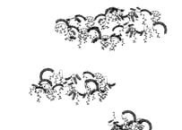装飾活字：PRINTERS’FLOWERS “fuji”