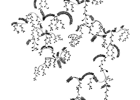 装飾活字：PRINTERS’FLOWERS “fuji”