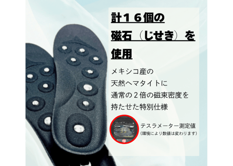 【テラヘルツ＋磁石(じせき)】 インソール