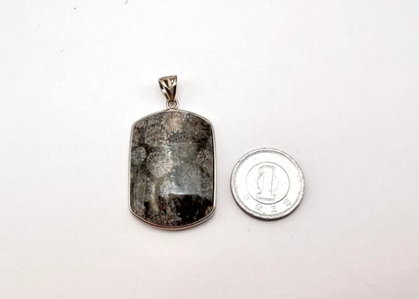 フォッシルコラール 化石サンゴ
