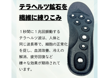 【テラヘルツ＋磁石(じせき)】 インソール