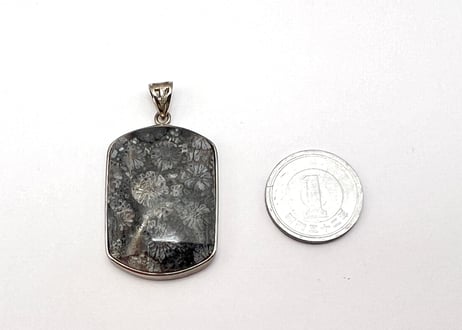 フォッシルコラール 化石サンゴ