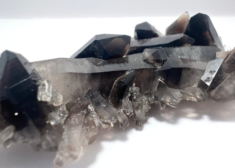 モリオン⑧ | あじろゆき オンラインショップ