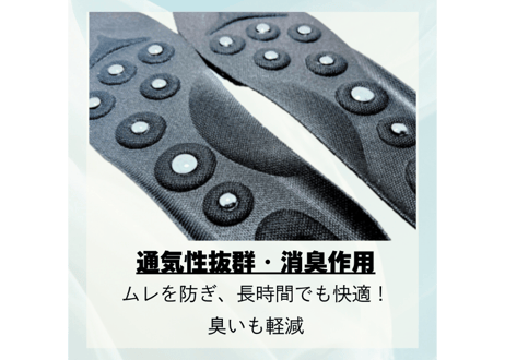 【テラヘルツ＋磁石(じせき)】 インソール
