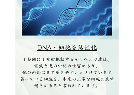 【北投石×テラヘルツ×磁石】龍宮舎利石ver.