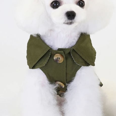 トレンチコート(小型犬)