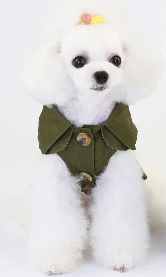 バーバリー　犬用　トレンチコート　12/30㎝ 小型犬 トレンチコート(小型犬) | Copel's