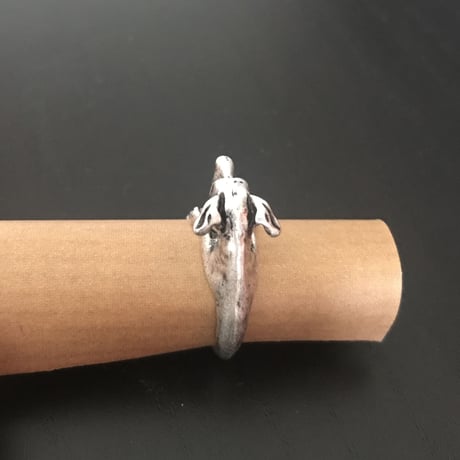 イタグレ指輪