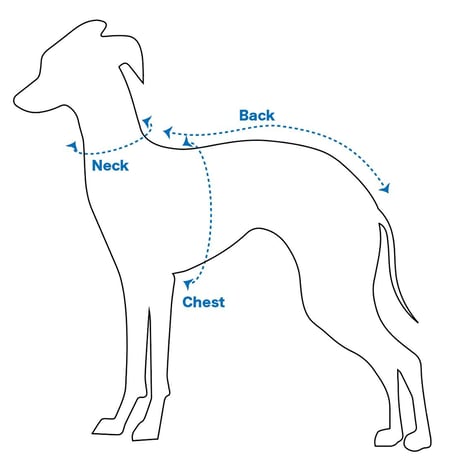 トレンチコート(小型犬)