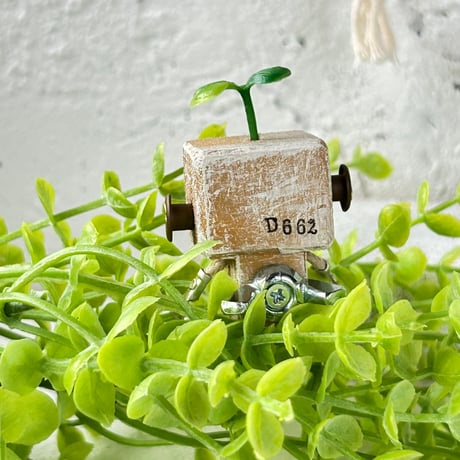 D662