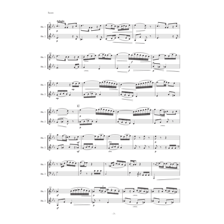 ホルンの為の二重奏曲　第2番