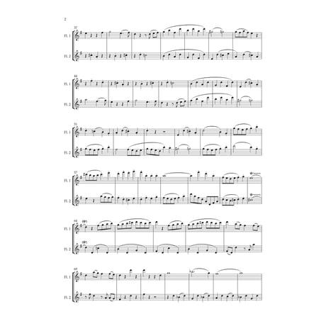 ２本のフルートの為の二重奏曲