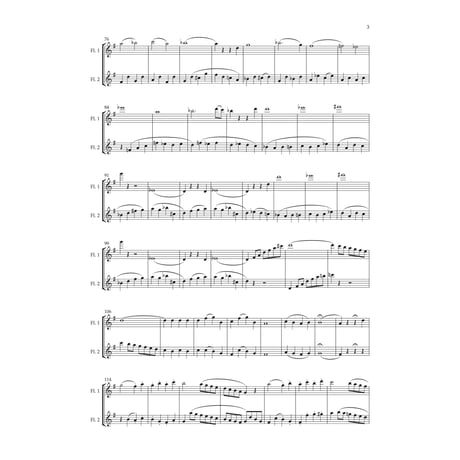 ２本のフルートの為の二重奏曲