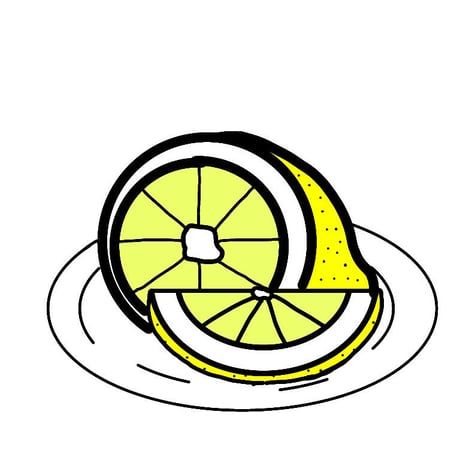 南伊勢”ハッピー農園”レモンの塩レモンパウダー