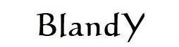 BlandY's STORE